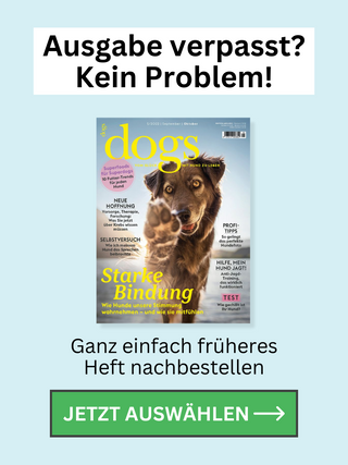 ZEM-DG-Ausgabe-verpasst